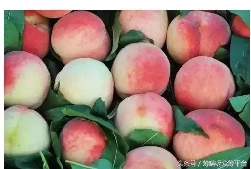 毛桃很好吃,如何清洗干净方便呢?