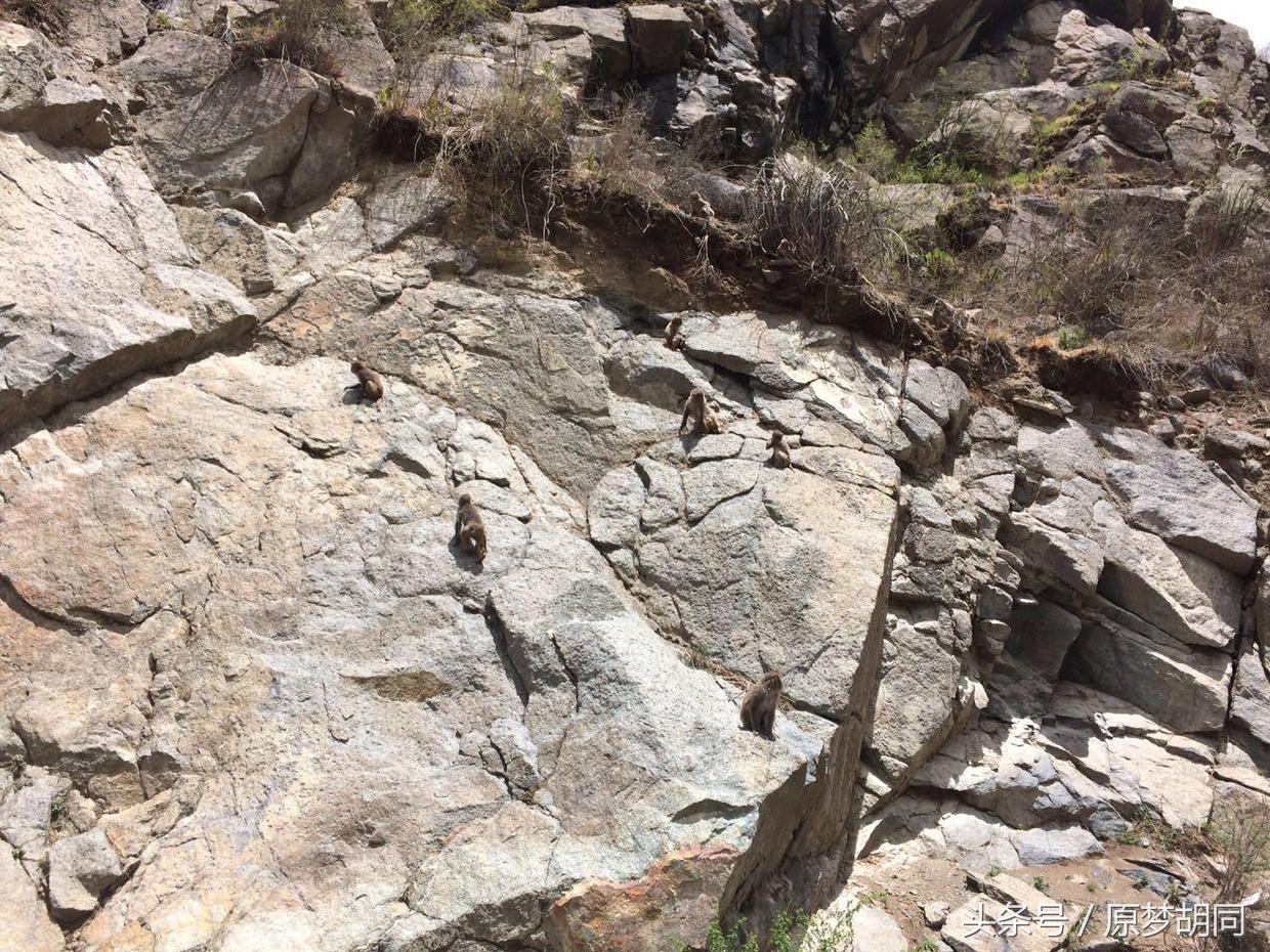 西藏之旅到达拉萨,去拉萨12天之行