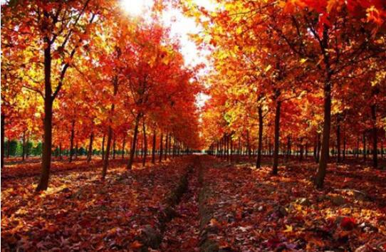 对不起，我要去上海新东方，别再找我了！