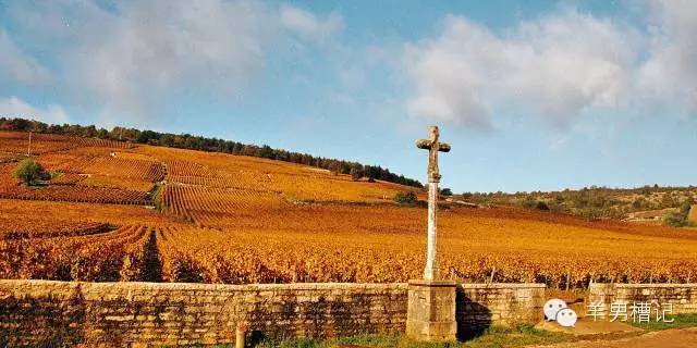 美人鱼里的红酒叫什么名字,美人鱼红酒罗曼尼康帝