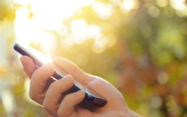 姜紫雅回家（下）