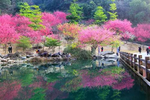 一篇很走心的福州旅游攻略,福州旅游攻略景点排名第一