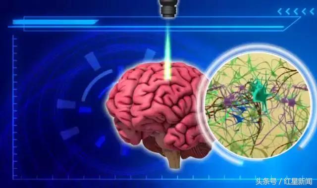 起死回生的实验,起死回生有可能实现吗