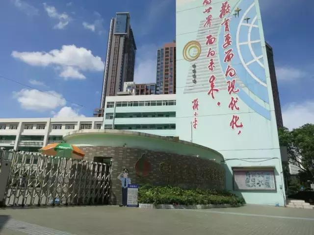 深圳龙岗区私立小学排名一览表,深圳龙岗坂田小学排名一览表