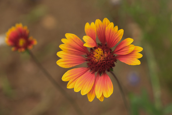 紫塞农家院风景区,紫塞周末农家院