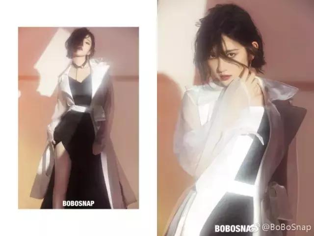 分享一下精美的狗粮,推荐一个平价又好的狗粮吧