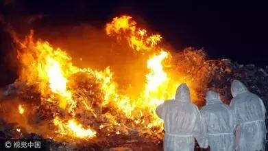 动物疫情补助政策,发生动物重大疫病处置流程