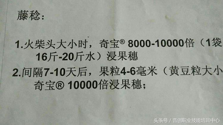 葡萄种植管理技术唐老师,如何管理葡萄才能高产的技术