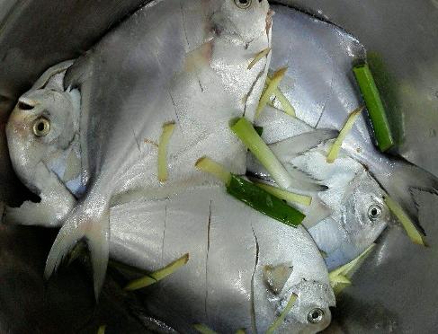 香煎鲳鱼最正宗的做法,干煎鲳鱼柠檬