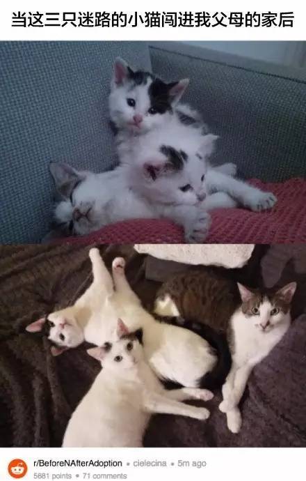 桌边社20170615：这么热的天气出门，撒孜然比喷香水更诱人