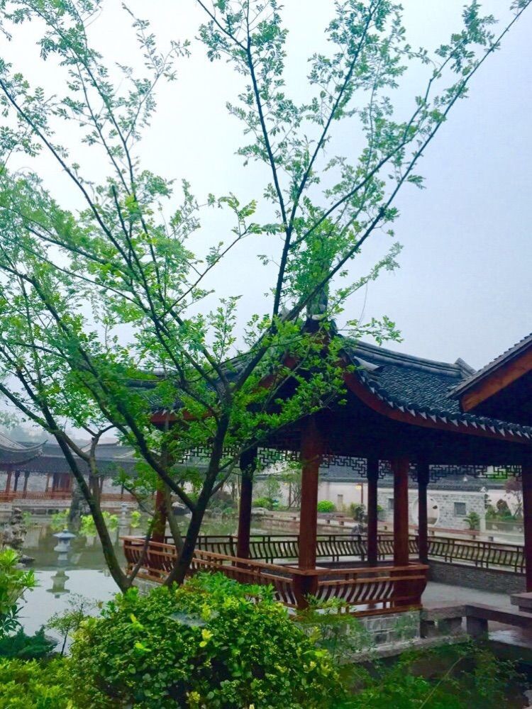 宁波是我国东南沿海城市,宁波属于东南西北