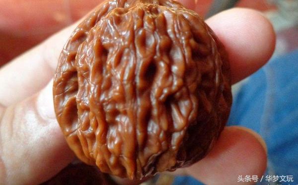 文盘核桃与武盘的图片,核桃武盘和文盘啥意思