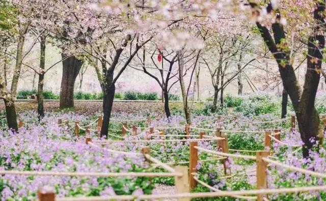 中南民大好在哪,中南民大官网新闻