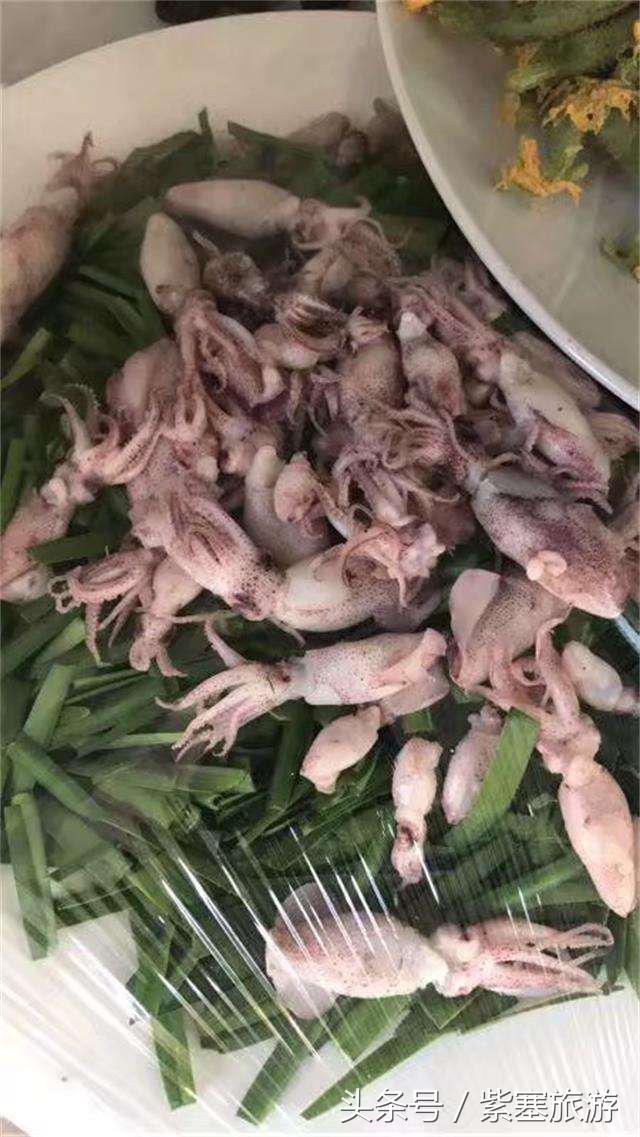 河北田园农家乐攻略,河北海边最有特色的海边农家乐