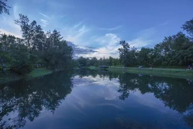 这对60后夫妻不惜卖掉公司，只为一间100多岁的白族老宅，连剑桥教授、《国家地理》都被他们吸粉