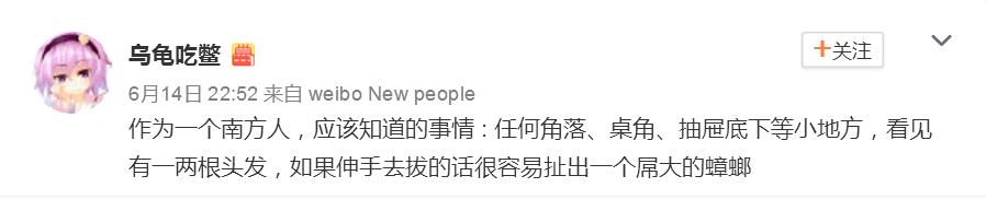怕蟑螂的人是什么病,怕蟑螂药有毒是心理问题吗