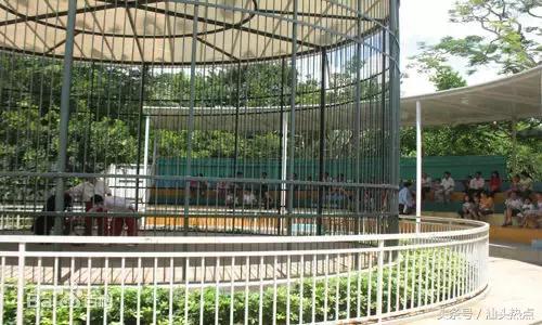 汕头十大公园,汕头最美园景