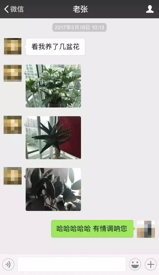 与爸爸的微信聊天感悟,跟爸爸沟通代沟太大