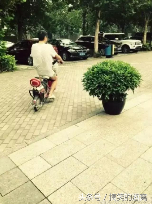 窦唯离开黑豹的第一首歌,窦唯和朴树什么关系