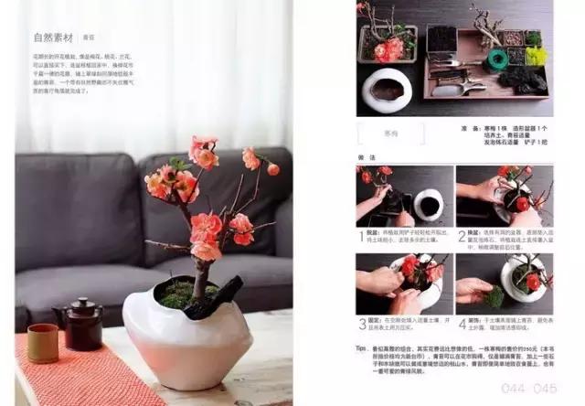 学习插花真的有前途吗,在家看书插花