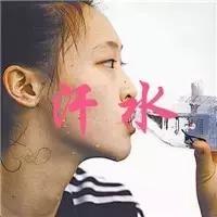 黄河三峡野猪林漂流简介,济源漂流野猪林攻略