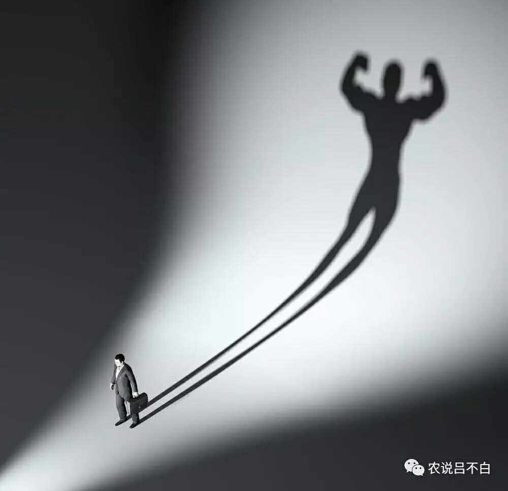 在农村做副业还是种地,在农村集镇做什么能挣到钱