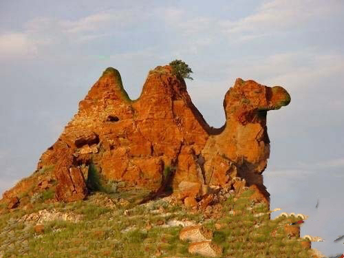 极光一张图片,极光精美照片