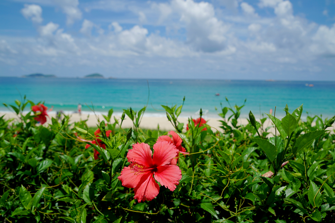 三亚最顶奢酒店,顶奢酒店三亚
