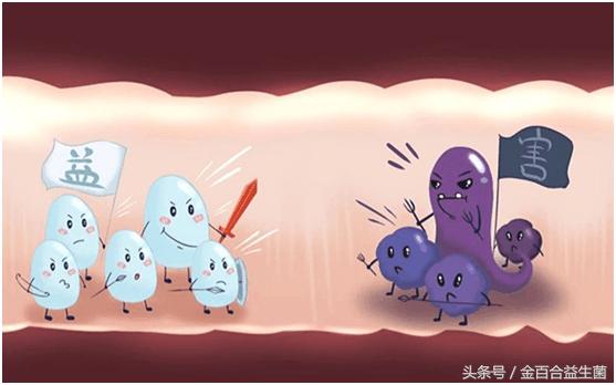 买益生菌120块钱,购买益生菌的猫腻