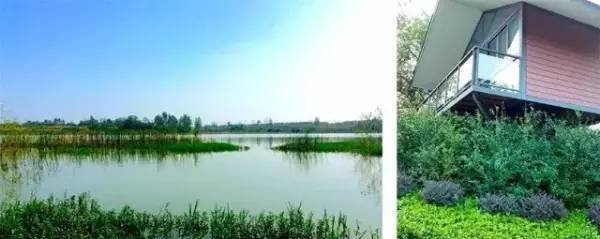 玩自驾，住帐篷，开启一段自驾游的旅行，河南这些露营地你知道吗？