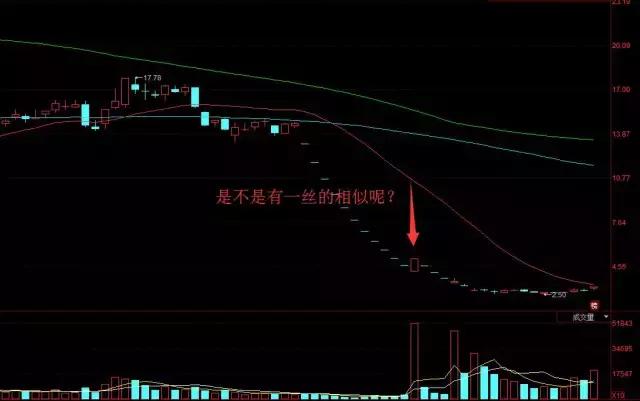 “巨熊”新都退开板，一场1.96亿的豪赌！