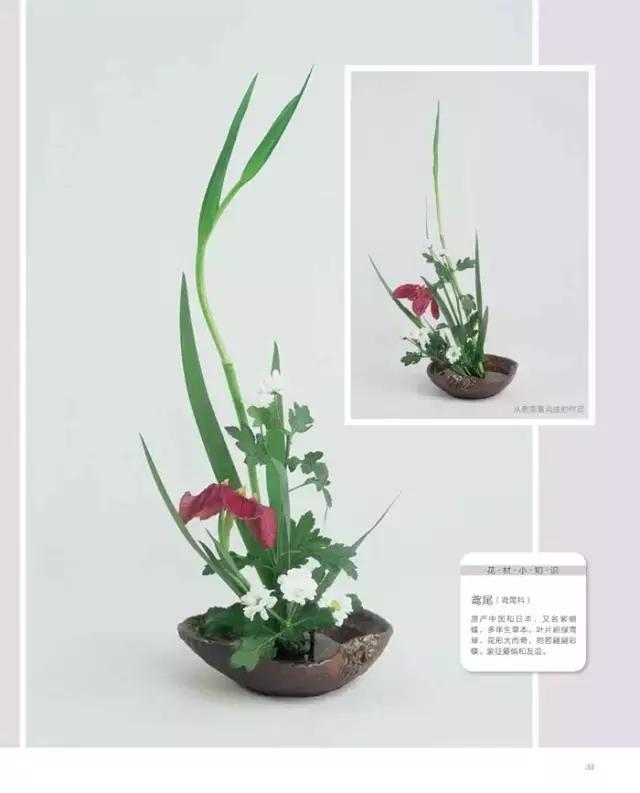 学习插花真的有前途吗,在家看书插花