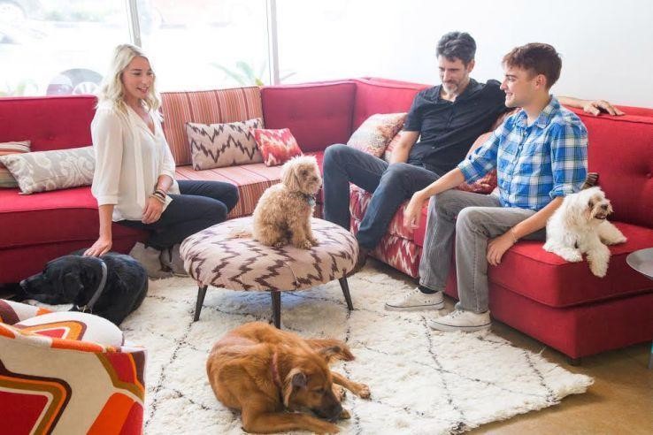 开会不能遛狗?出差在外狗狗怎么办?宠物界Uber与Airbnb帮您搞定爱宠所需!