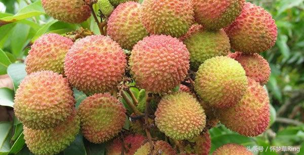 三亚必吃的十大水果排名,海南三亚最爱吃的水果