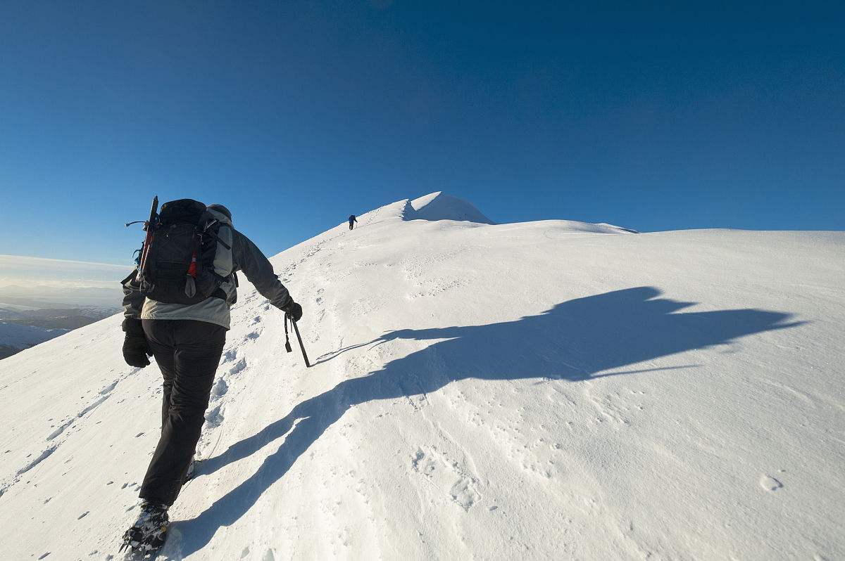 不雷不鸣|我对喝酒喝死的,天生有种亲近感