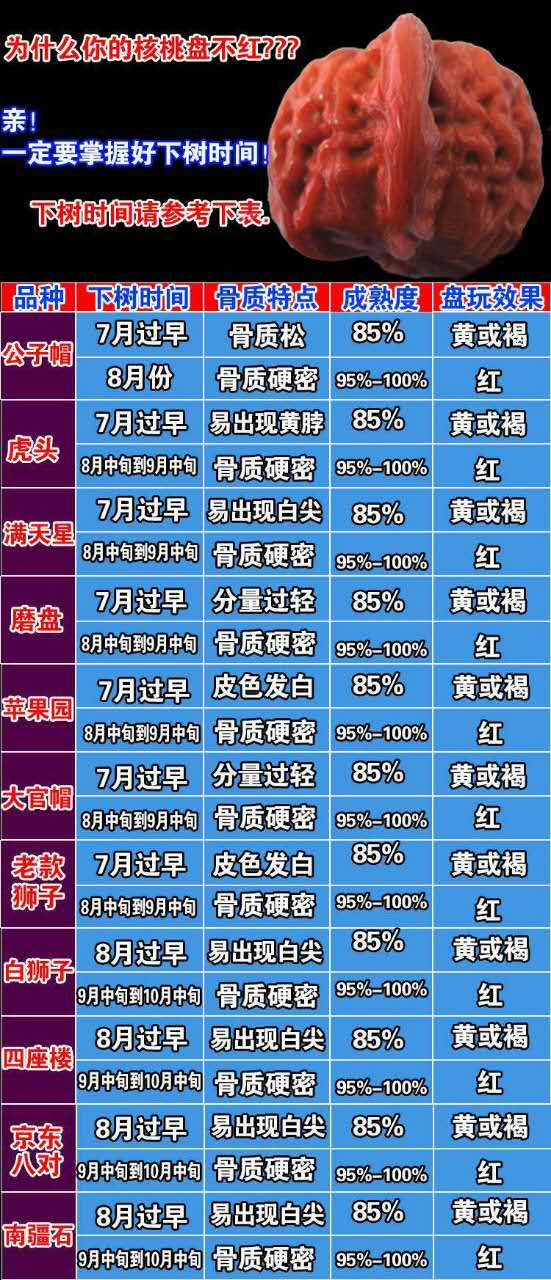核桃盘出玛瑙红技巧,怎样看出核桃是否能盘红