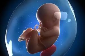 九周了早孕反应突然消失了正常吗,早孕反应是突然消失还是慢慢消失