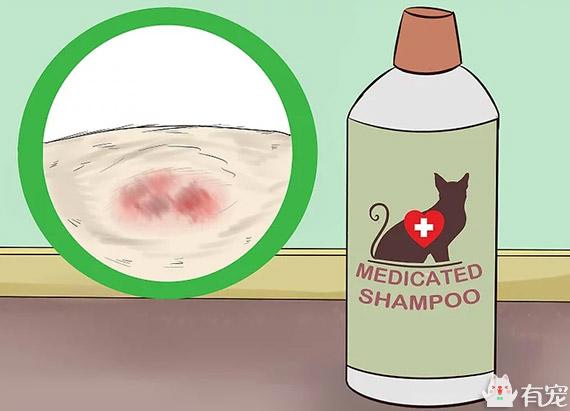 小猫用什么洗发水好 (给猫买哪些洗发水比较好)