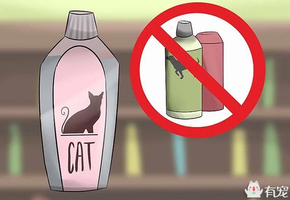 小猫用什么洗发水好 (给猫买哪些洗发水比较好)