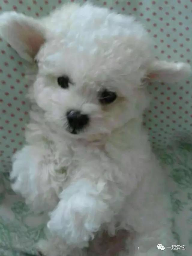 宠爱故事100个,宠爱剧情梗概