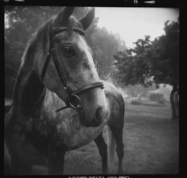 海子的诗十首经典,海子的10句话值得慢慢品读