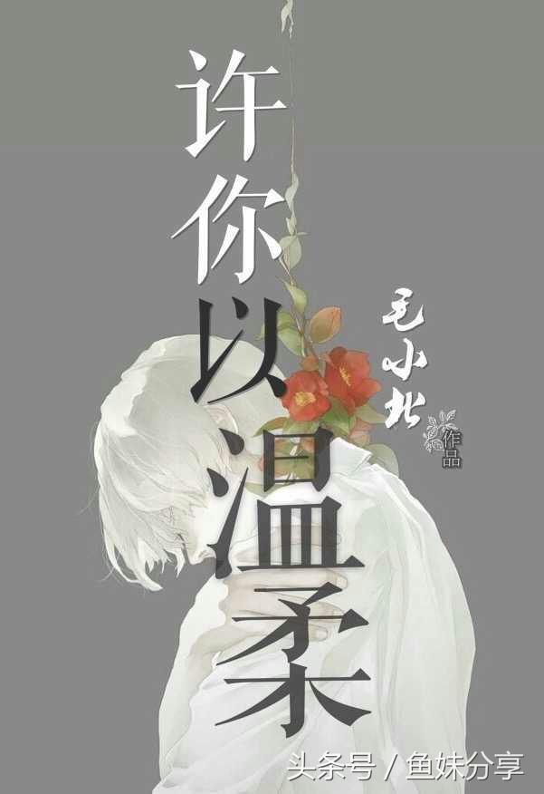 甜文推荐鱼妹书单,鱼妹推荐书单宠文