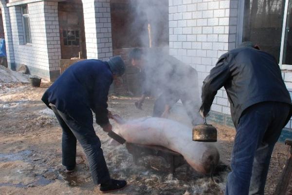 东北杀猪菜酸菜炖血肠五花肉排骨,家乡的味道鞍山篇杀猪菜