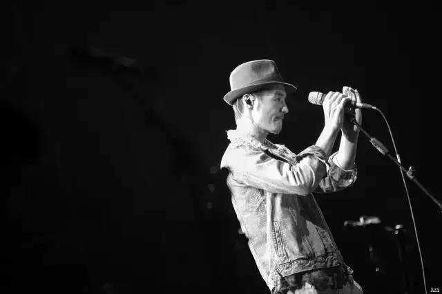 朴树老了,朴树一年的时光