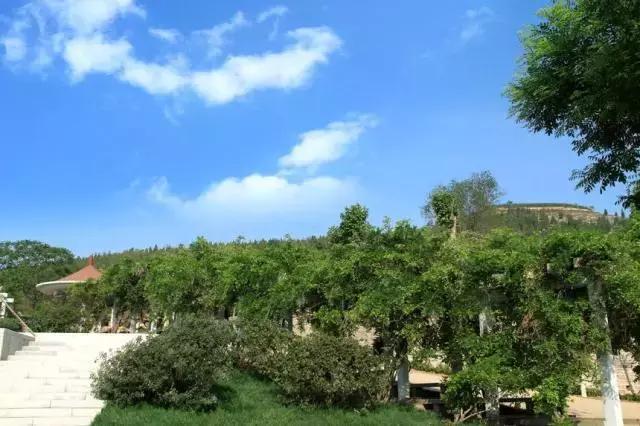 政法大学招生宣传视频,山东政法学院招生宣传片