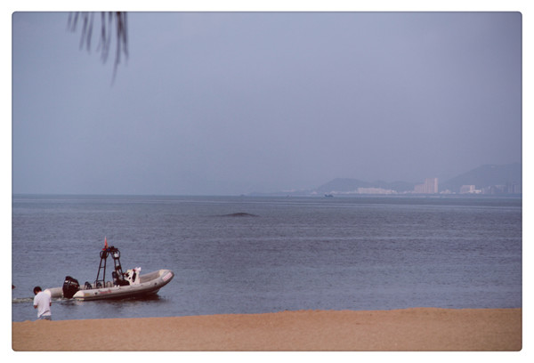 在三亚总有一片海属于一个人,在三亚椰梦长廊海边