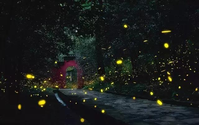 父亲离开孩子该怎么办,父母要离开了很难受怎么办