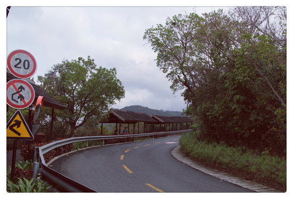 在三亚总有一片海属于一个人,在三亚椰梦长廊海边