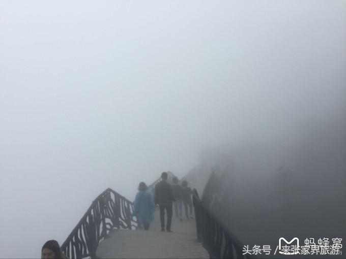 长沙到张家界凤凰五日游,深圳到张家界5天游攻略