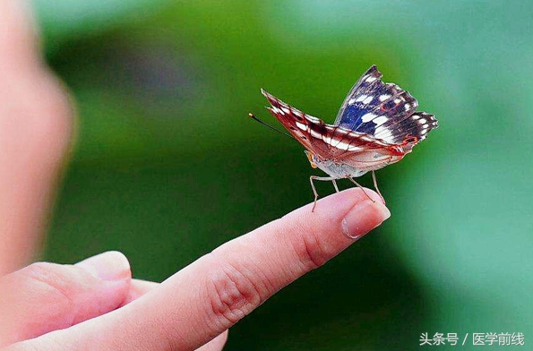 北京身心疗愈中心,自然疗愈体验中心